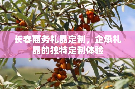 长春商务礼品定制，企承礼品的独特定制体验